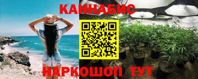 2c-b Камышлов