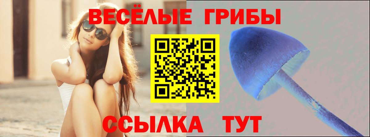 Озёры  Галлюциногенные грибы ЛСД  Вход с VPN  Псилоцибиновые грибы прущие грибы 